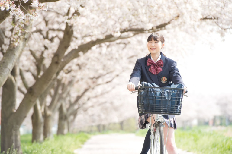 春の桜並木と自転車