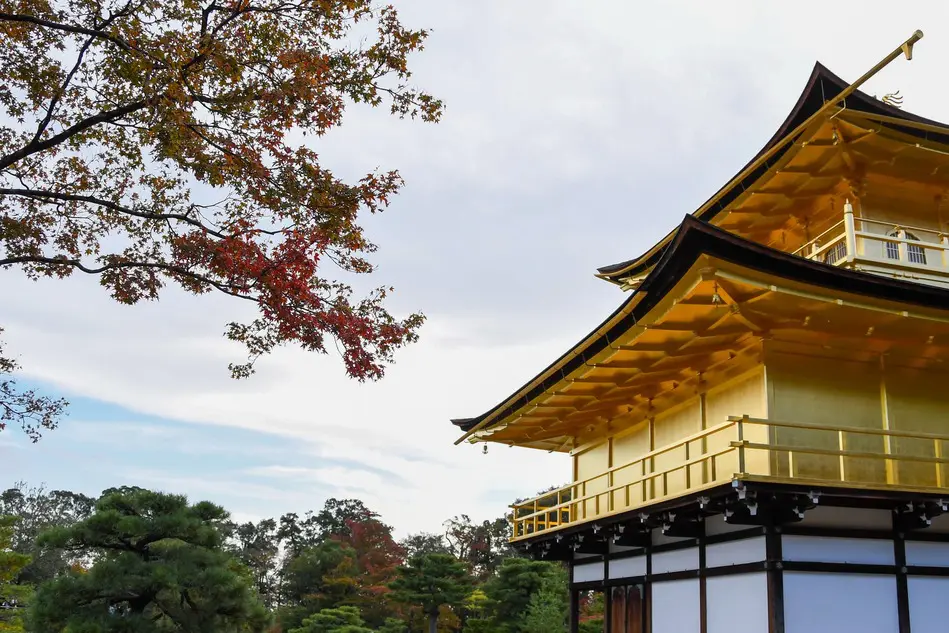 京都府の公立中高一貫校まとめ｜特徴や入試倍率・進路紹介