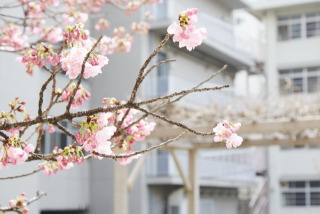 私立中学と公立中学の授業に違いはある？進学のためには受験すべき？