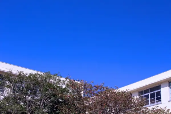 【中高一貫校】日本大学豊山女子中学校・高等学校の内部進学の基準・対策を徹底解説