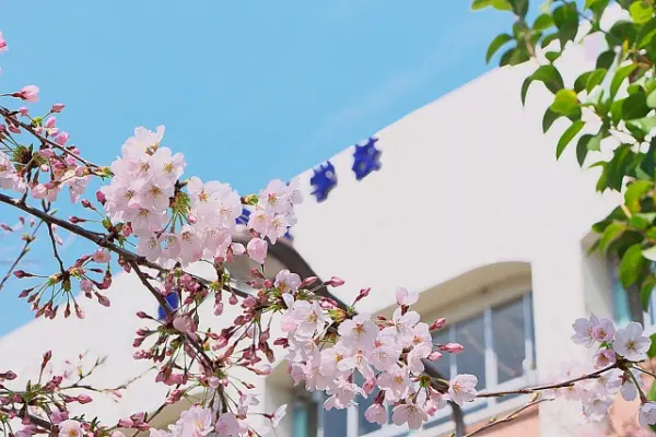 【中高一貫校】駒沢学園女子中学校・高等学校の内部進学の基準・対策を徹底解説