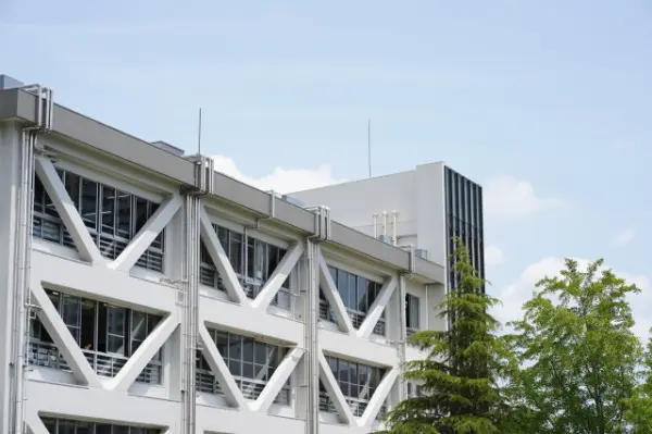 桐蔭学園中等教育学校での大学入試対策（内部進学）を専門塾が解説