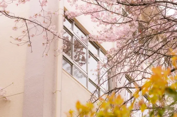 【中高一貫校】京都女子中学校・高等学校の内部進学の基準・対策を徹底解説