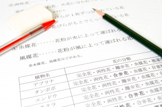 中高一貫校の理科についていけない状況を打破する学習法｜理科は復習が命！