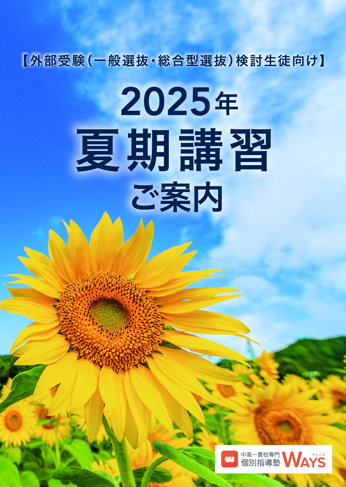 2025年夏期講習パンフレット_大学受験対策