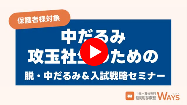 セミナーアーカイブ動画スナップショット