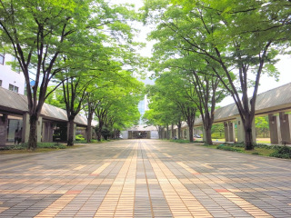 オープンキャンパスはなぜ重要？｜内容、参加方法、文理選択や大学受験との関連を解説