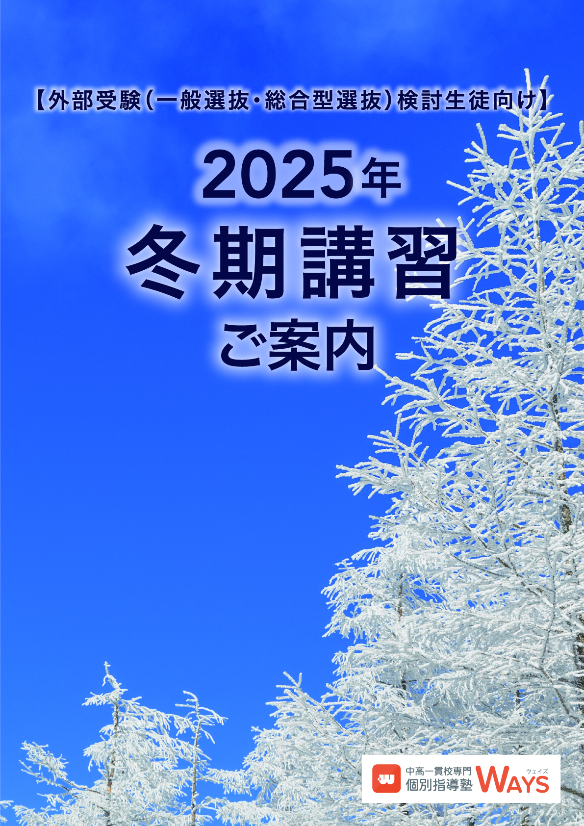 2025年冬期講習パンフレット_大学受験対策